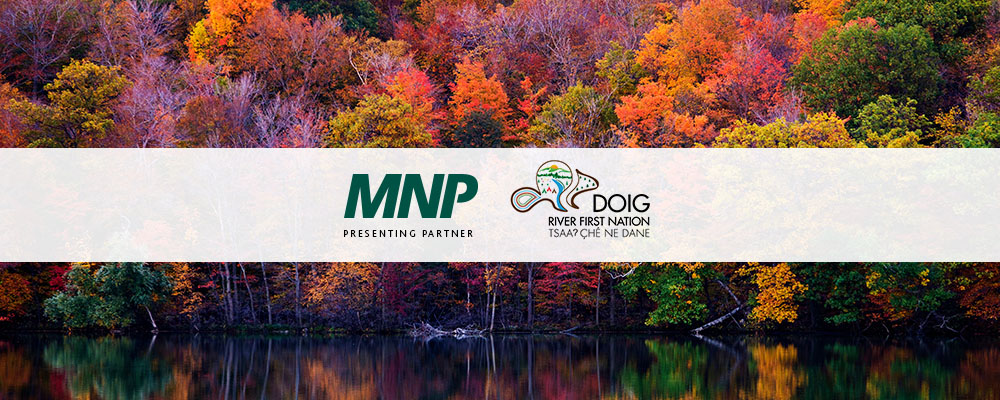 MNP and DOIG logos