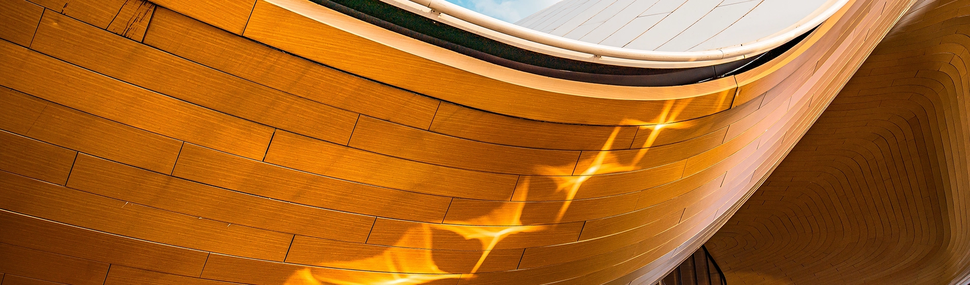 wooden curved architecture roof