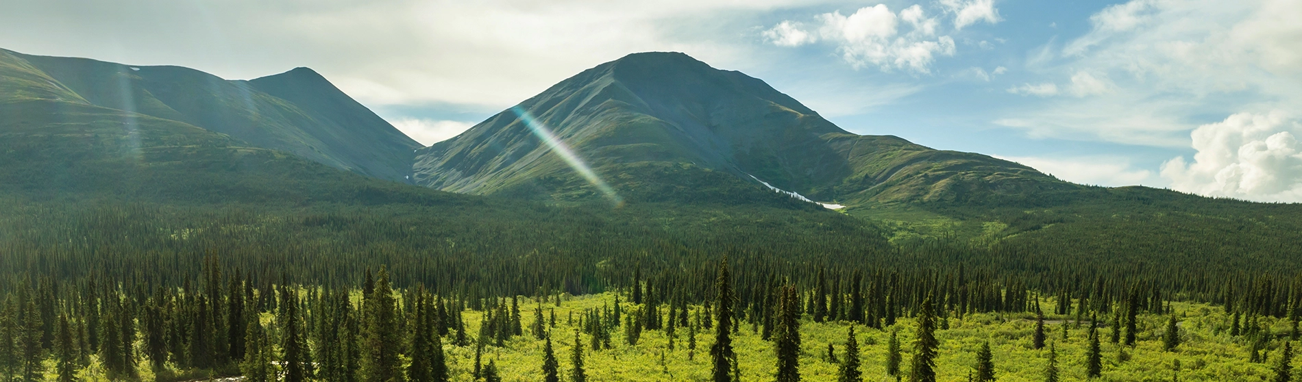 Mountain landscape in northern Alberta with trees