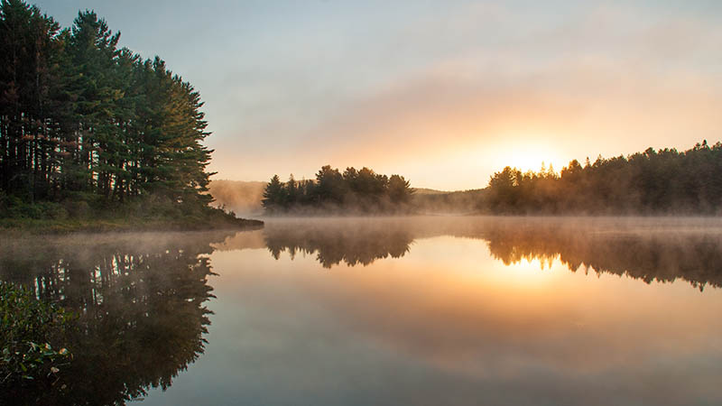 Coucher de soleil sur un lac entouré d'arbres verts