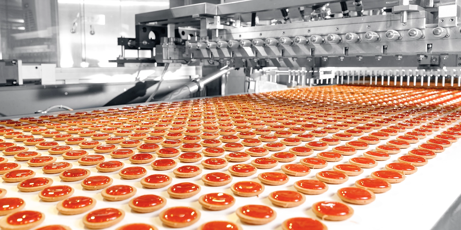 biscuit production in factory on conveyor belt