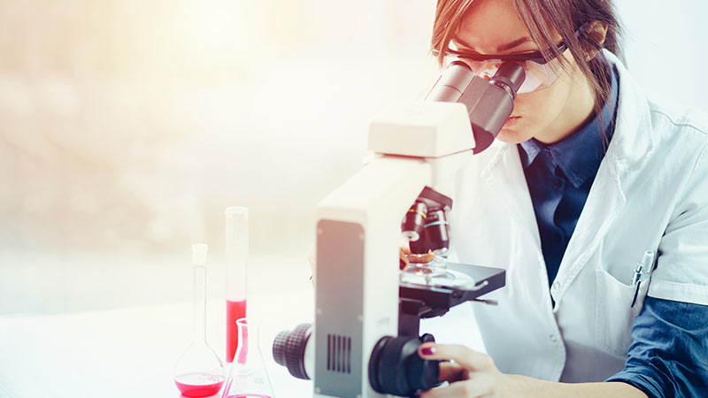 Person looking through a microscope