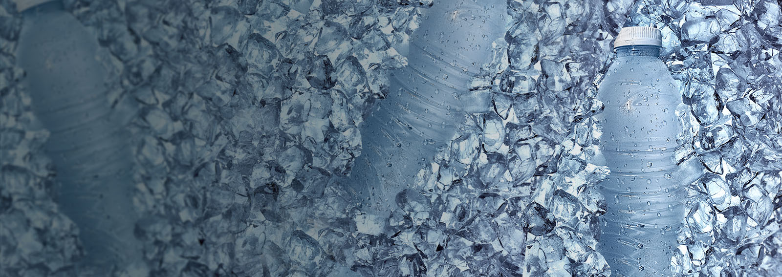 Cooler full of water bottles in ice