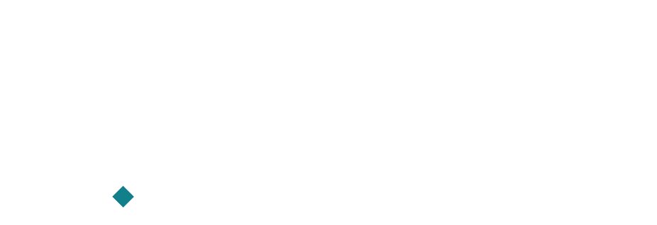 BCF X MNP LOGO