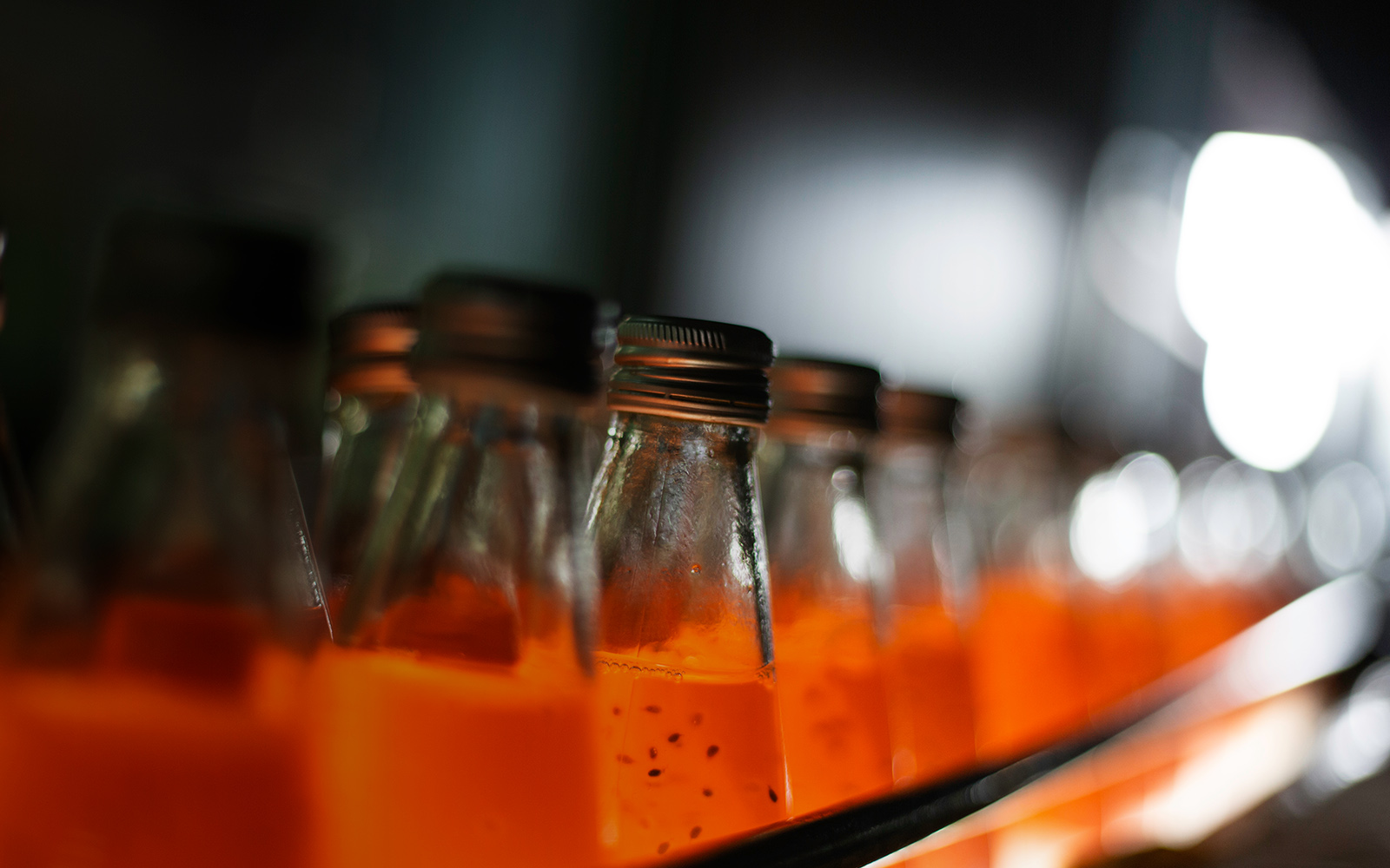 Bottles of liquid on a conveyor belt
