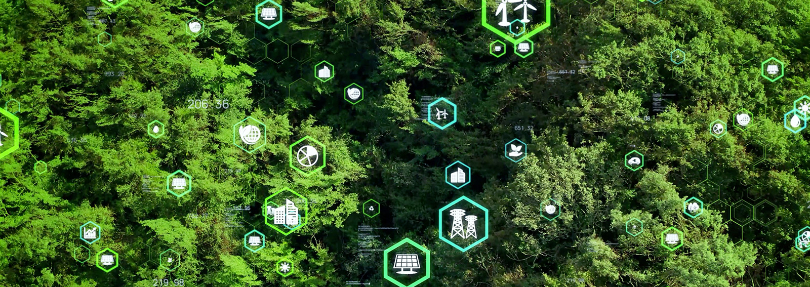 Green forest with contextual icons