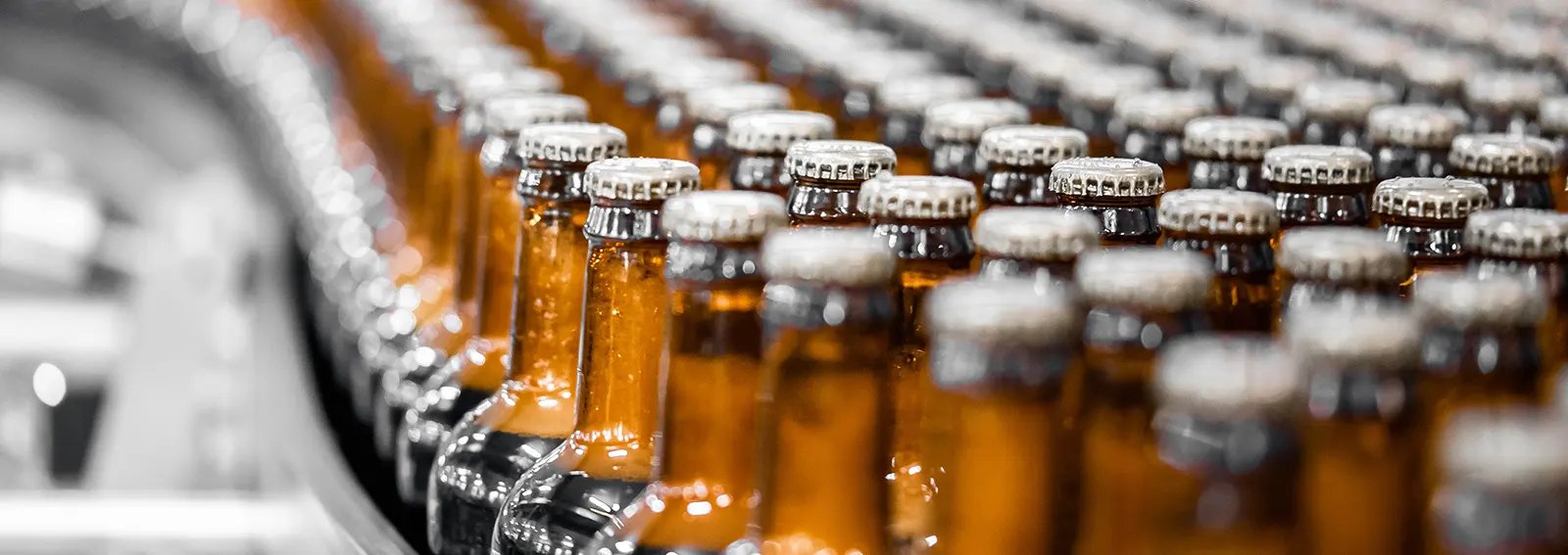 View of a brewery plant production line.