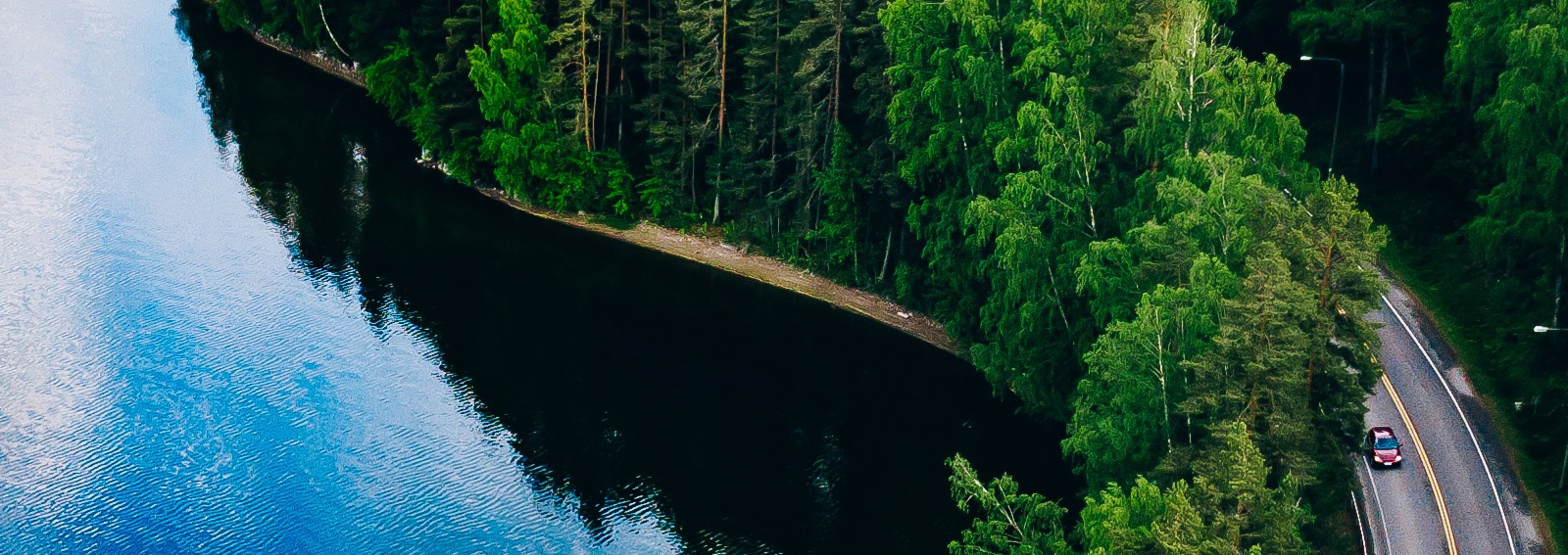 Driving on a lakeside road surrounded by trees.