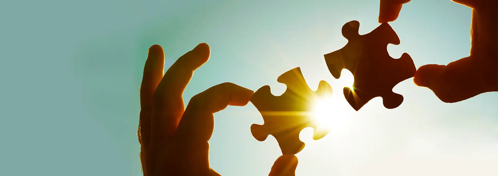 Holding up puzzle piece up towards the sky