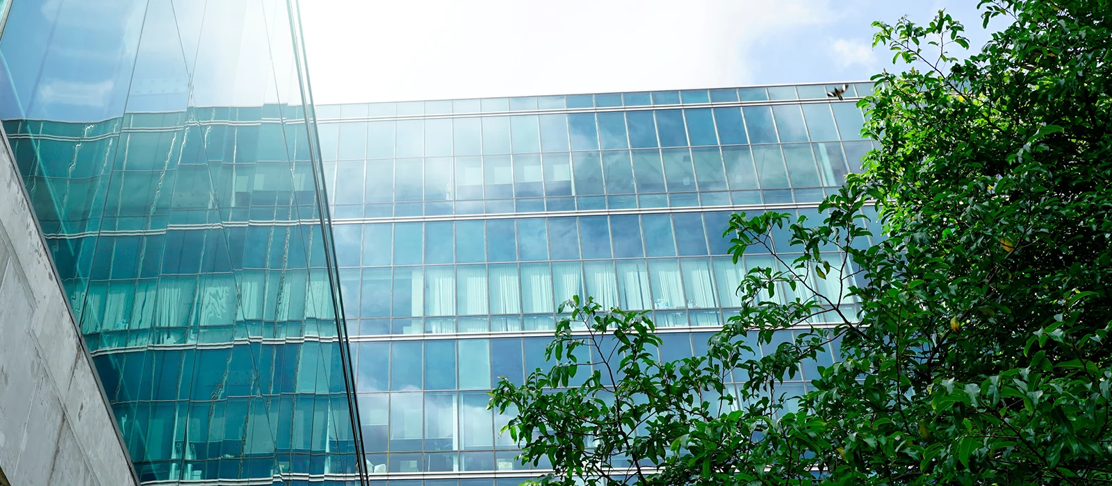 Modern office building with trees surrounding it.