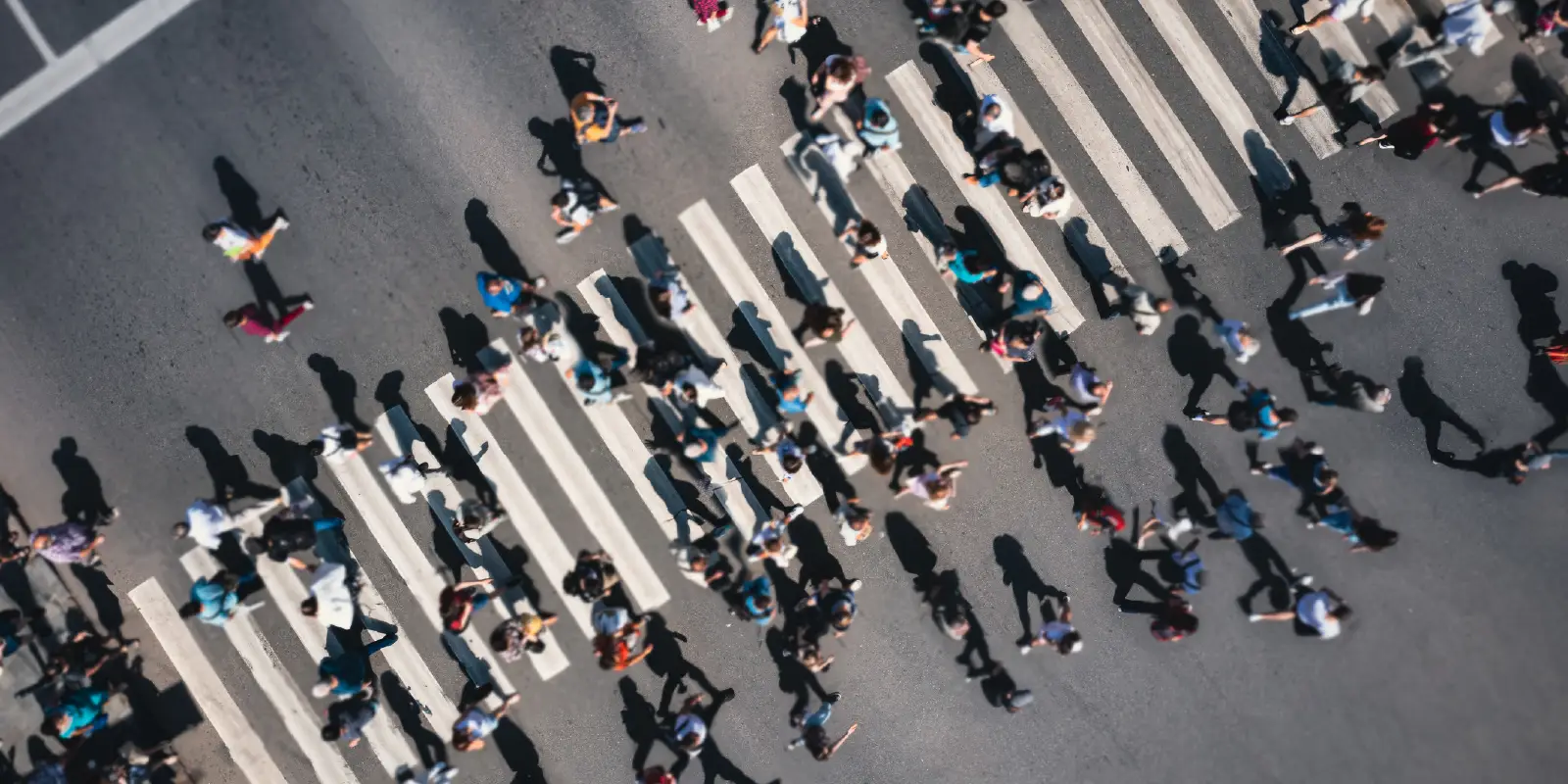 Aerial view of people crossing a striped crosswalk.