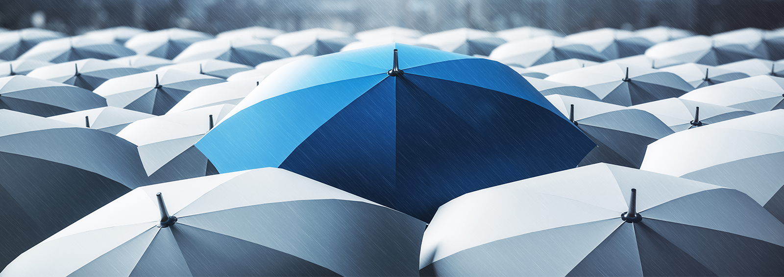 Group of umbrellas in the rain