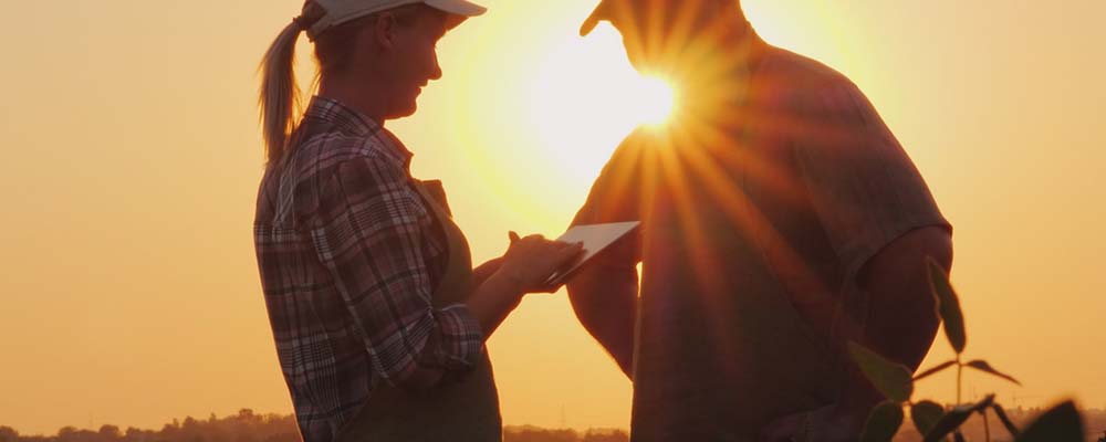 Female and male farmers looking at ipad in front of sunset