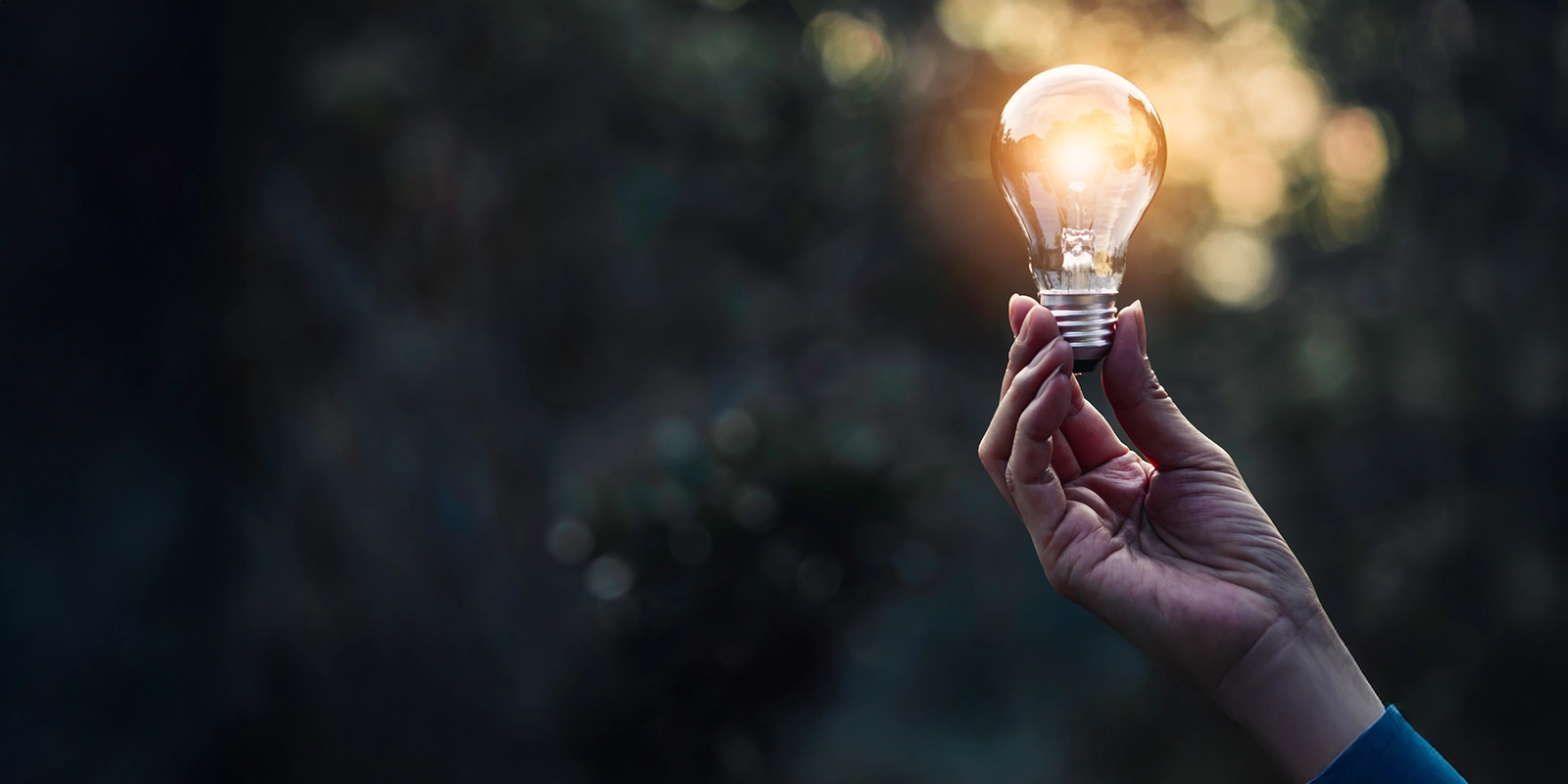 A person holding an illuminated lightbulb.