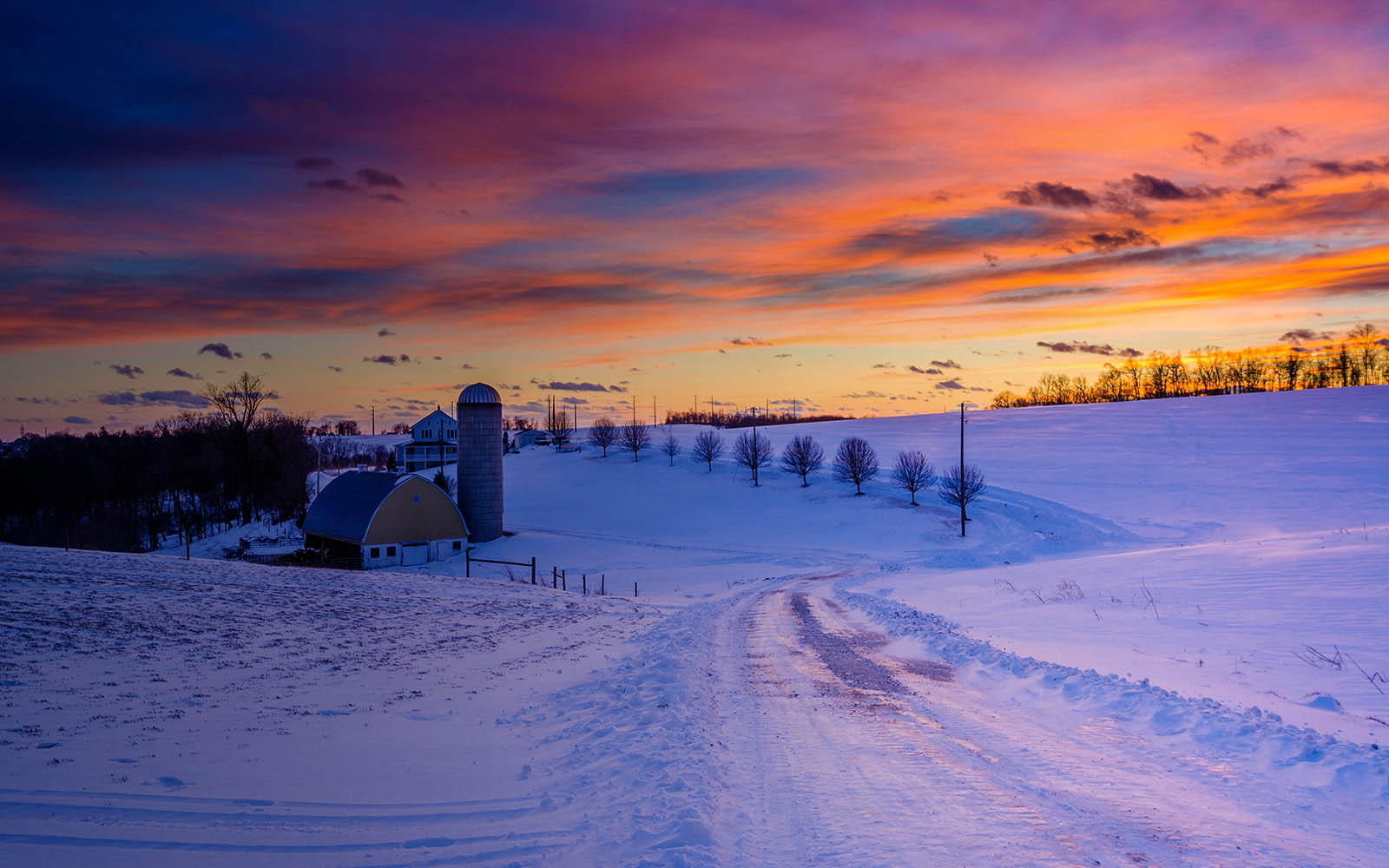 field with a sunset