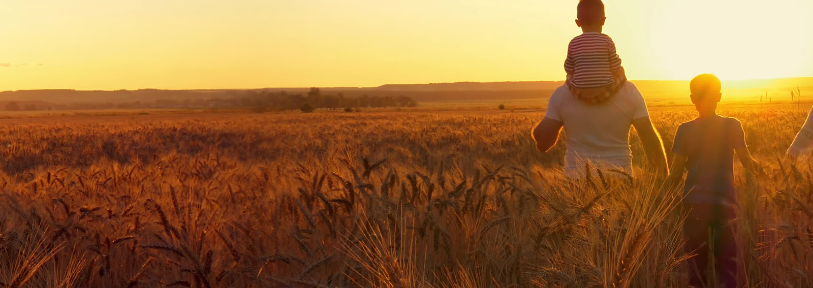 Family standing in a farm field during a sunset