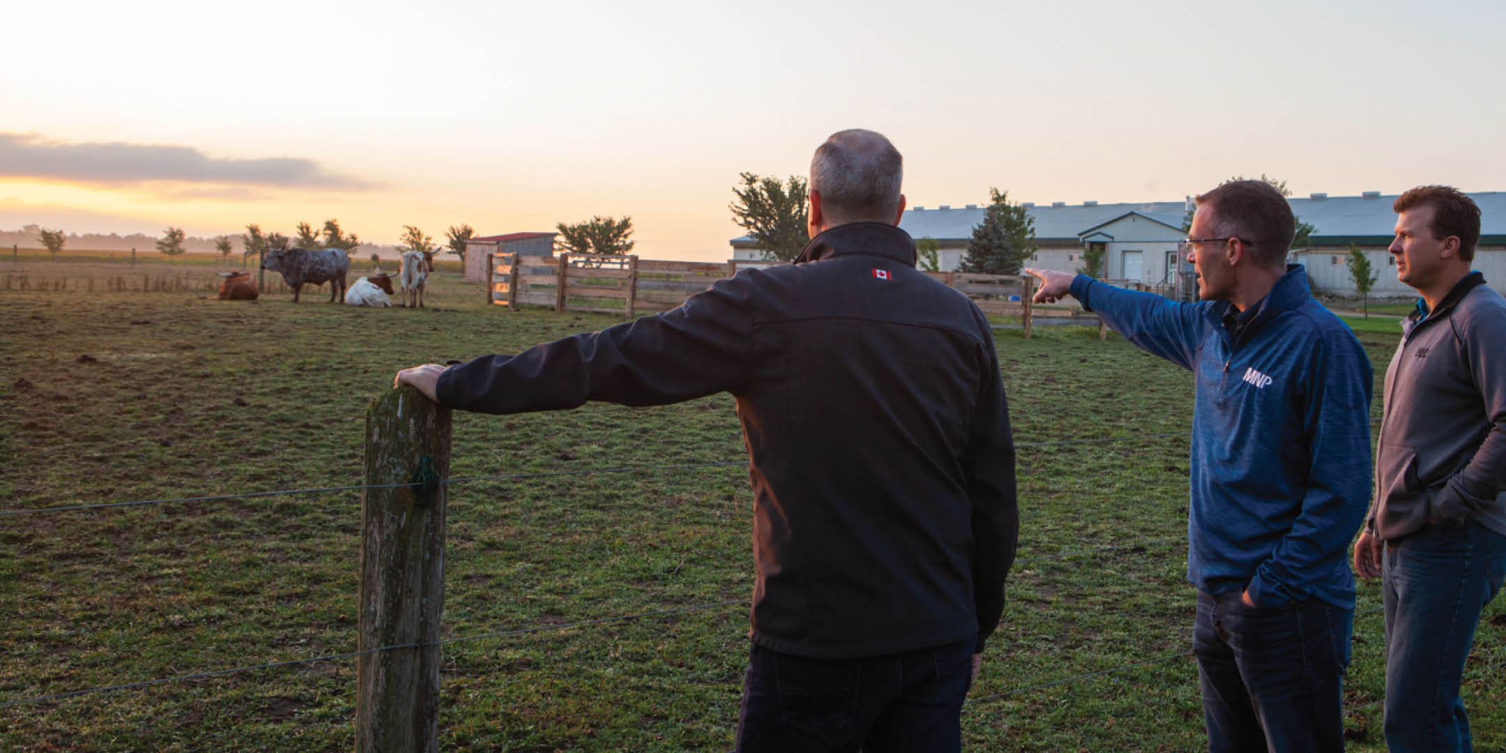 MNP Advisor having a discussion with two other men at a cattle ranch
