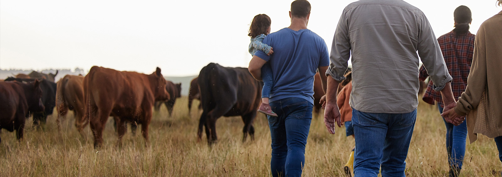 Multigenerational farm family walking in a field with cattle