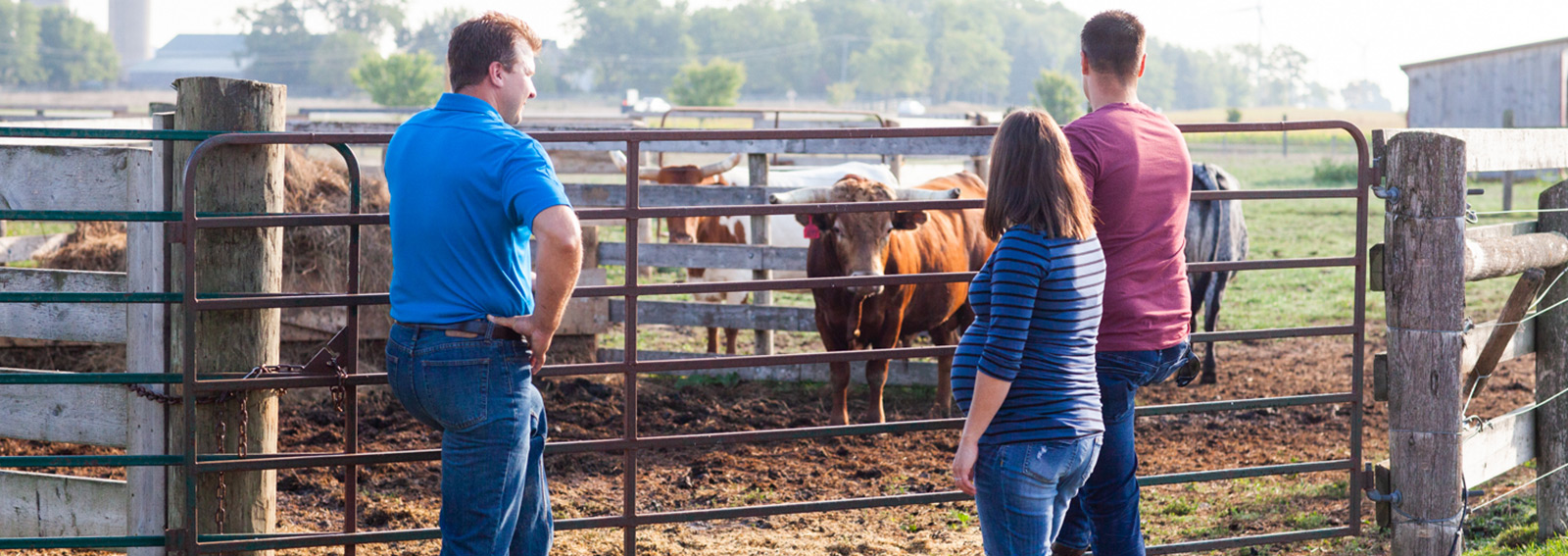 Two men and one woman conversating outside of a cow pen