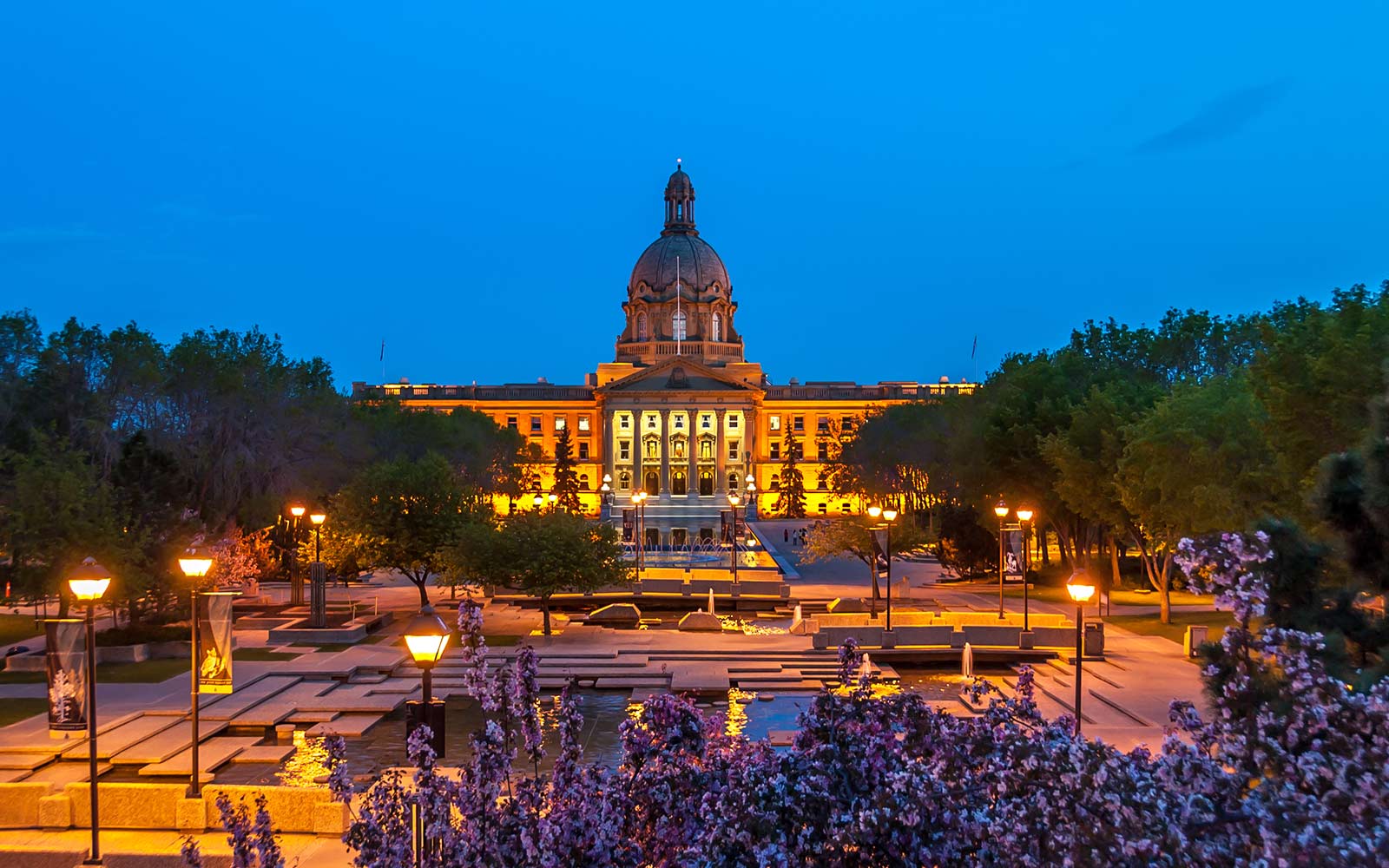 A building surrounded by trees on both sides