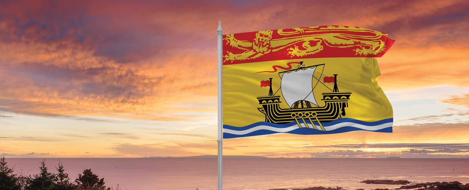 New Brunswick flag with ocean in background