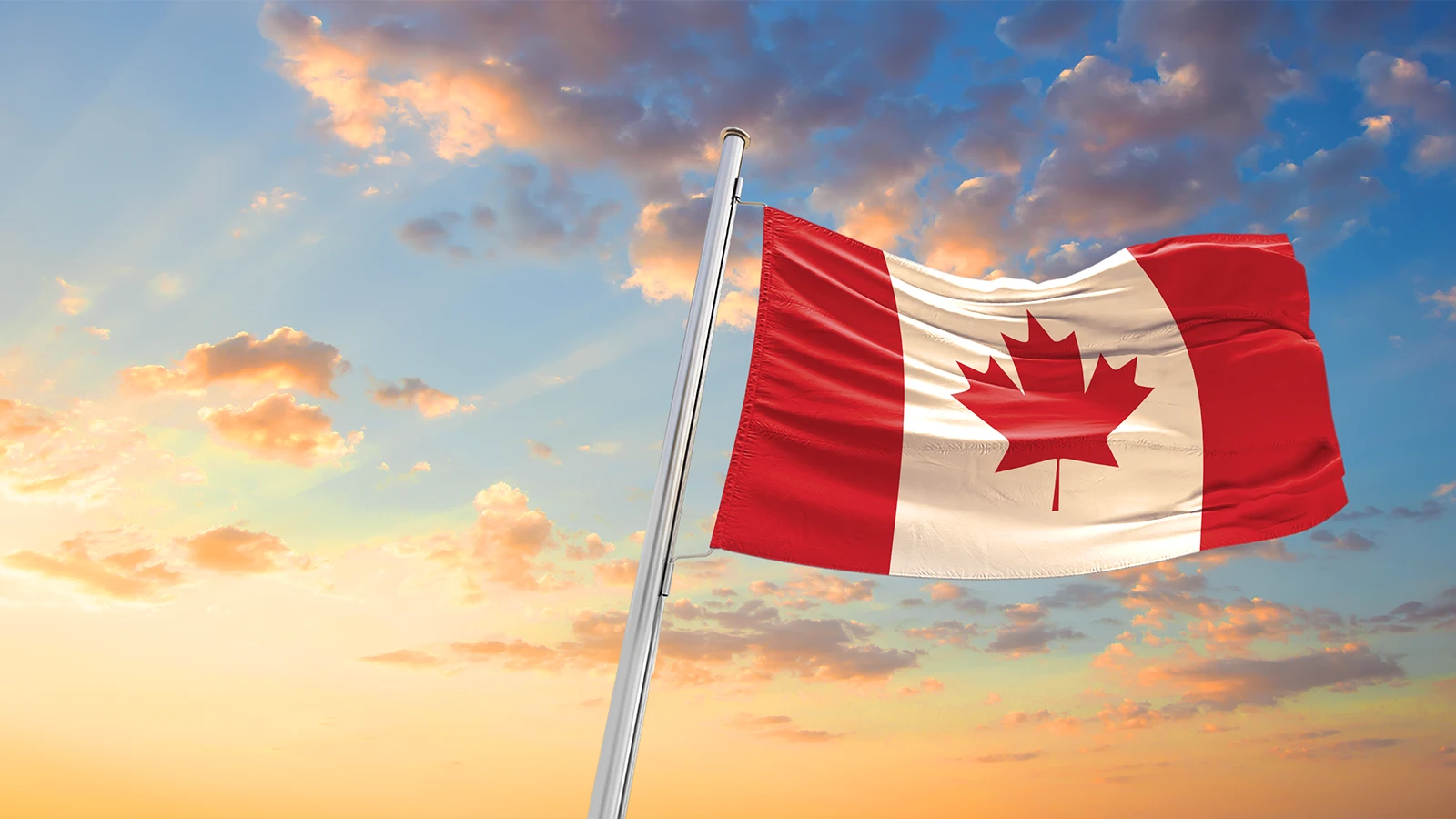 2024 Federal Budget Highlights MNP