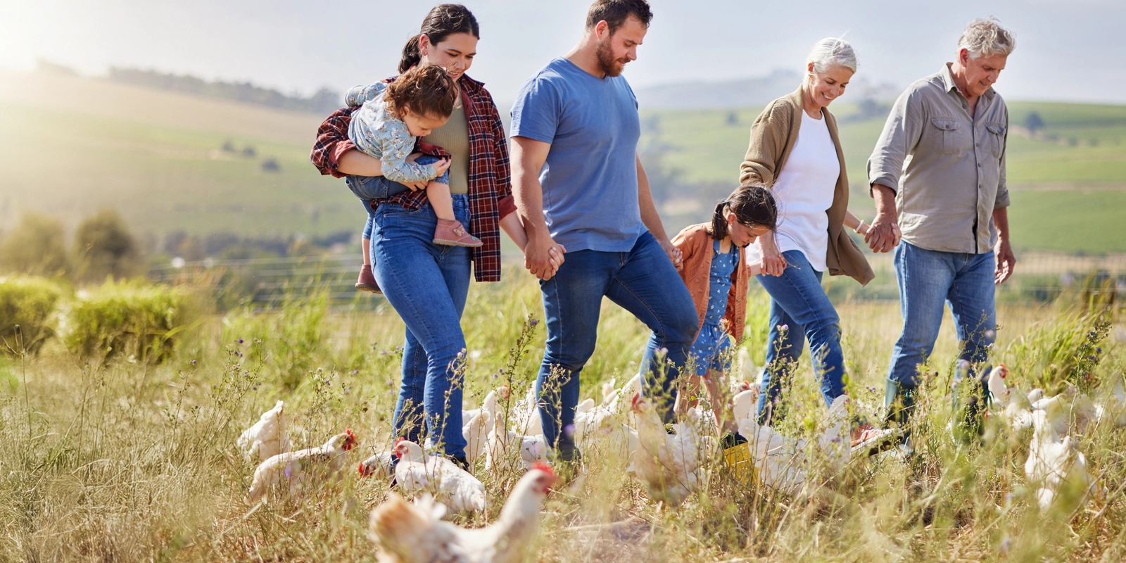farm family holding hands and walking through field with chickens